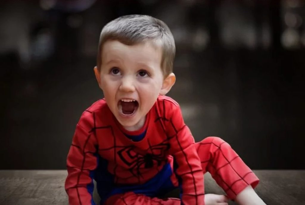 A quick update on the William Tyrrell case The Squiz