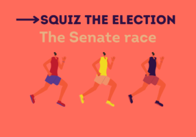 Squiz The Election Website (5)