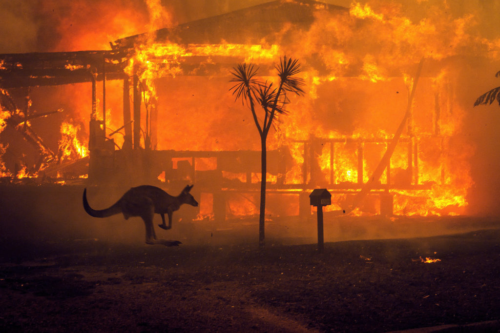 A kangaroo rushes past a burning house in Lake Conjola, Australia, on Tuesday, Dec. 31 2019. This fire season has been one of the worst in Australia's history, with at least 15 people killed, hundreds of homes destroyed and millions of acres burned.  (Matthew Abbott/The New York Times)