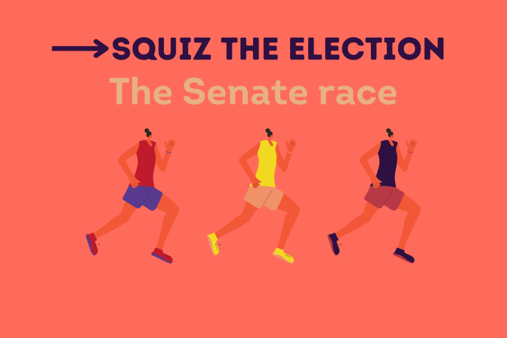 Squiz The Election Website (5)