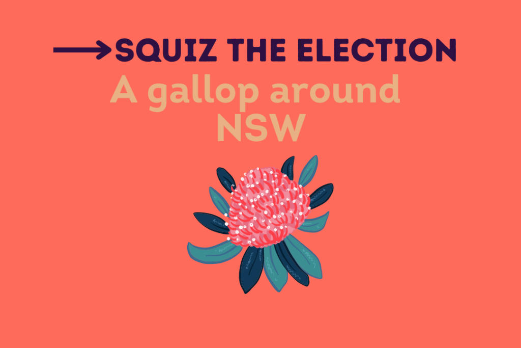 Squiz The Election Website (16)