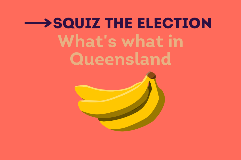 Squiz The Election _Queensland