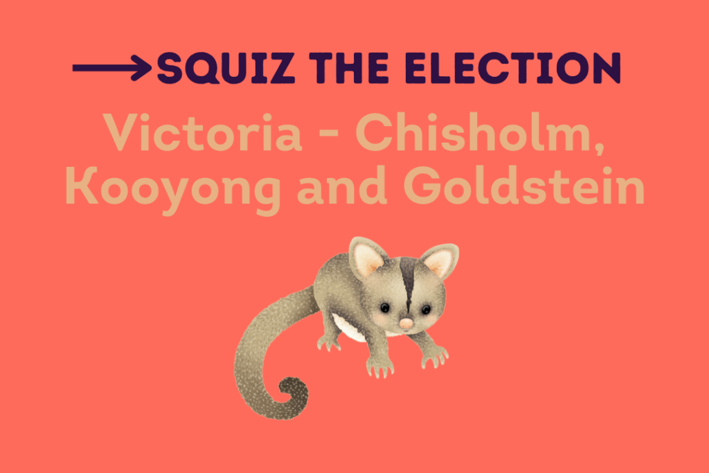 Squiz The Election Website (8)